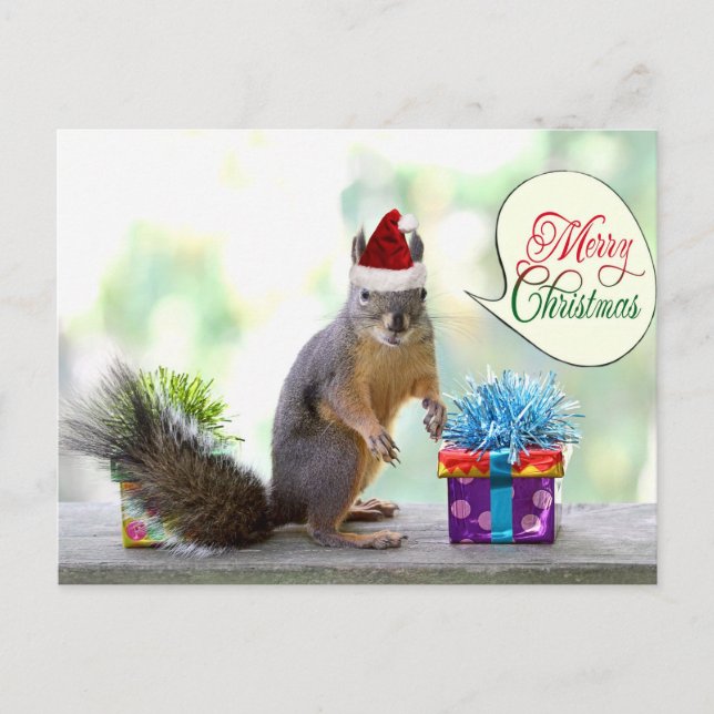 Christmas Squirrel with Christmas Presents Holiday Postcard (Front)