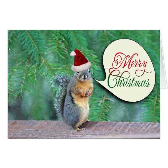 Christmas Squirrel with Evergreen Tree Background Card