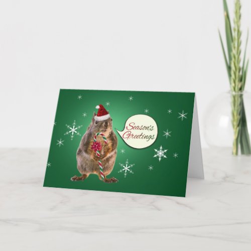 Christmas Squirrel with Snowflakes Holiday Card