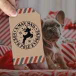Christmas Stamp Special Delivery Santa Claus<br><div class="desc">Christmas Stamp Special Delivery Santa Claus Stamp Holiday Gift Stocking Stuffer Christmas Mail North Ppole Seal Santa Approved Gift Tag</div>