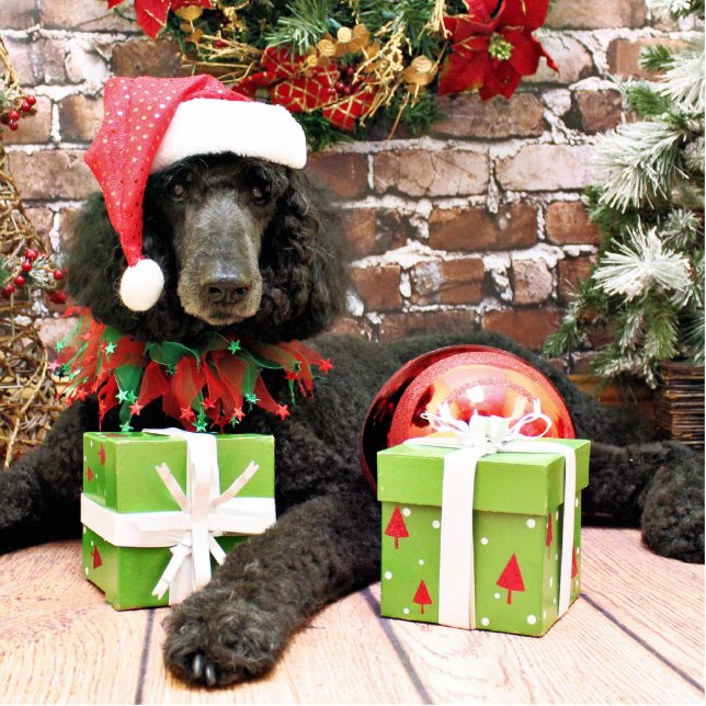 Christmas - Standard Poodle - Bronco Cutout (Front)