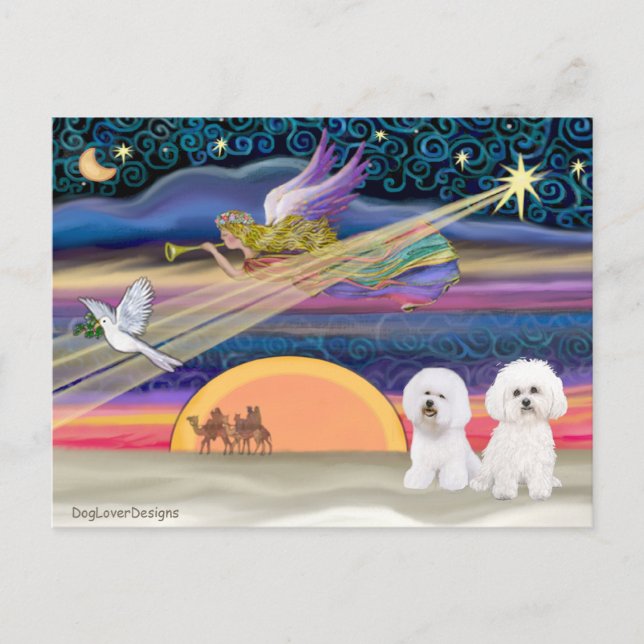 Christmas Star - Bichon Frise (two) Holiday Postcard (Front)