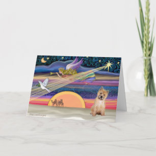 Christmas Star - Cairn Terrier pup #7 - Holiday Card