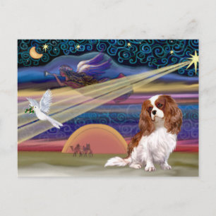 Christmas Star - Cavalier (Blenheim) Holiday Postcard