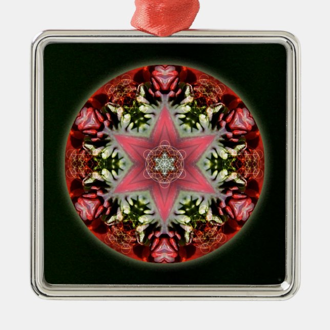 Christmas Star Metal Ornament (Front)