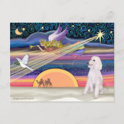 Christmas Star _ Poodle white Standard _ Holiday Postcard