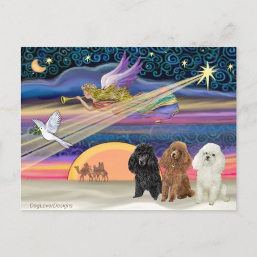 Christmas Star _ Poodles three Toy _ Holiday Postcard