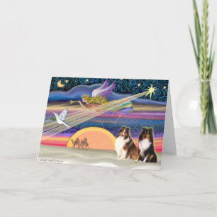 Christmas Star - Shetland Sheepdog (2) Holiday Card