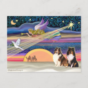 Christmas Star - Shetland Sheepdog (2) Holiday Postcard
