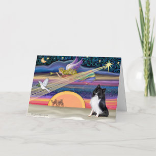 Christmas Star - Shetland Sheepdog (bi-black) Holiday Card