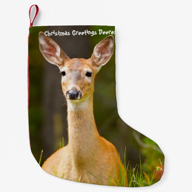 Christmas Stocking (Front)