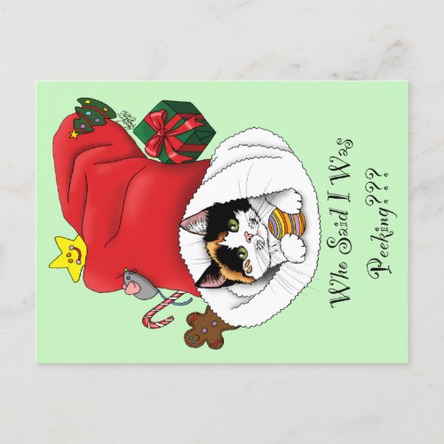 Christmas Stocking Cute Calico Kitten Holiday Postcard