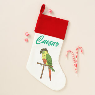 Christmas Stocking-Green Cheek Conure Christmas Stocking