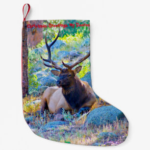 Christmas Stocking My Old Deerest
