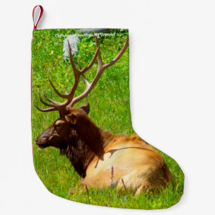 Christmas Stocking My Old Deerest