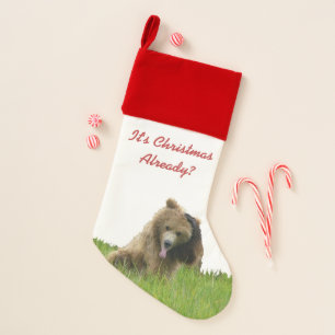 Christmas Stocking of grizzly bear cub