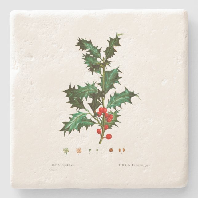 CHRISTMAS  STONE COASTER : HOLLY  : REDOUTÉ (Front)