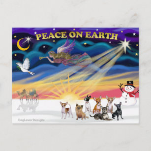 Christmas Sunrise - Chihuahuas (seven) Holiday Postcard