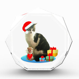 Christmas tabby cat and cute little angel award