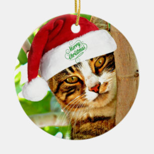 Christmas Tabby Cat in a Tree Ceramic Ornament