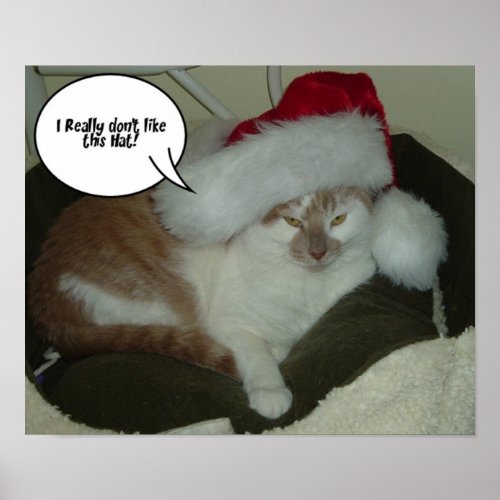 Christmas Tabby Cat Poster