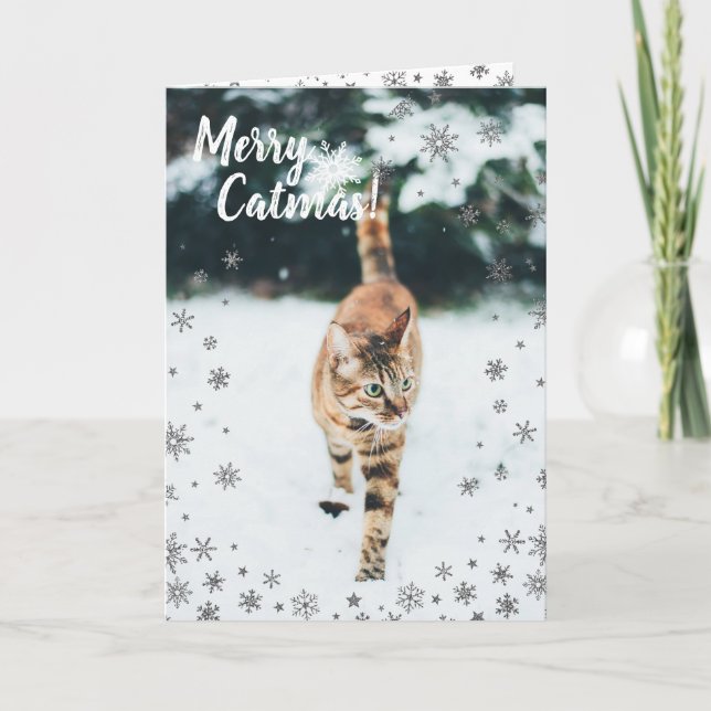 Christmas Tabby Cute Cat in the Snow Holiday Card (Front)