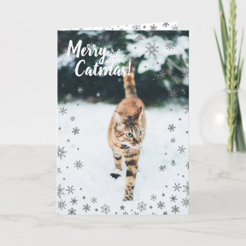 Christmas Tabby Cute Cat in the Snow Holiday Card