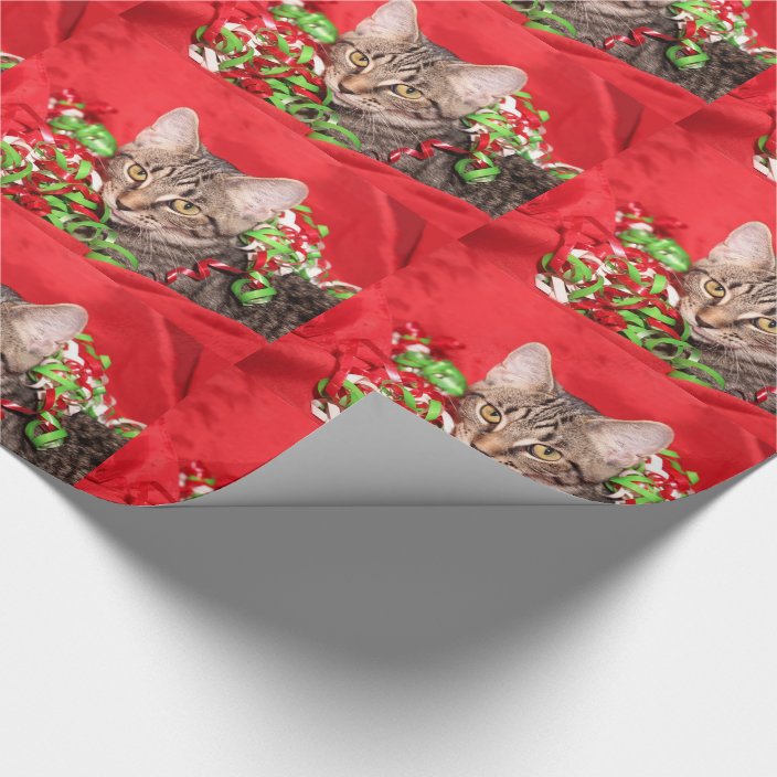 Christmas tabby kitty cat wrapping paper
