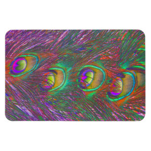Christmas Tinsel Peacock Feathers Magnet