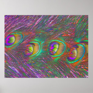 Christmas Tinsel Peacock Feathers Poster