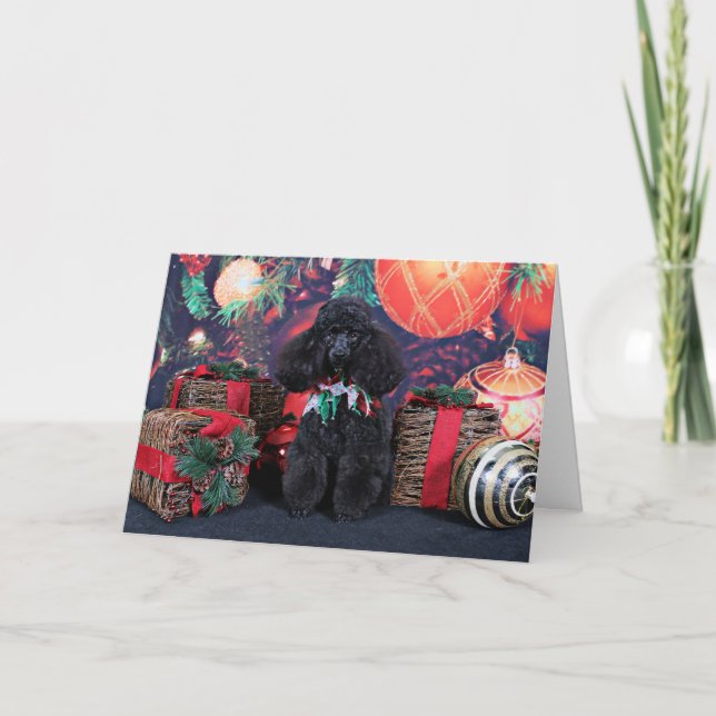 Christmas - Toby - Poodle Holiday Card (Front)