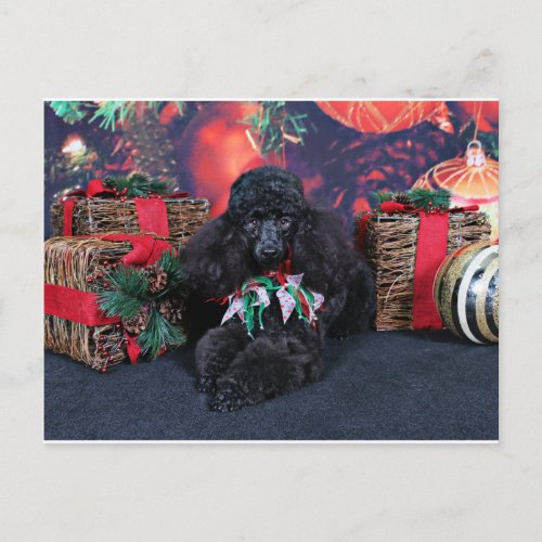 Christmas _ Toby _ Poodle Holiday Postcard