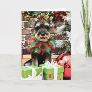Christmas - Tom Dooley - Schnauzer #2 Holiday Card