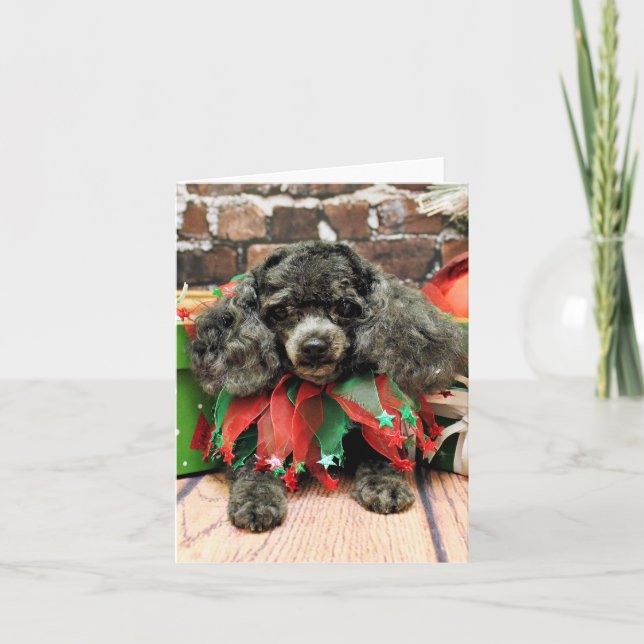 Christmas - Toy Poodle - Annie Holiday Card (Front)