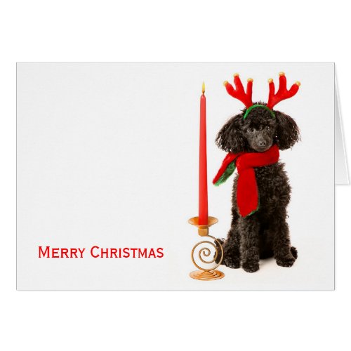 Christmas Toy Poodle Dog Greeting Cards