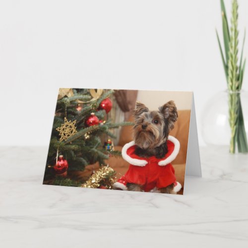 Christmas Tree And Yorkie Puppy Holiday Card