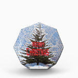 Christmas tree award<br><div class="desc">This is a christmas  pine tree with the message,  "Merry Christmas"</div>