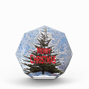 Christmas tree award