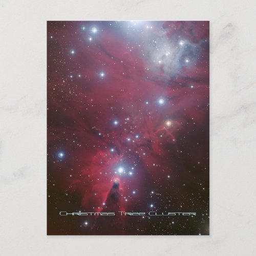 Christmas Tree Cluster and Cone Nebula NGC 2264 Holiday Postcard