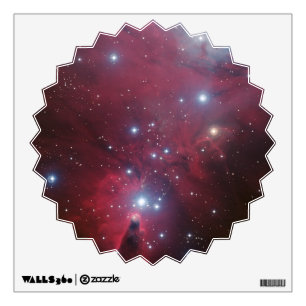 Christmas Tree Cluster and Cone Nebula, NGC 2264 Wall Sticker