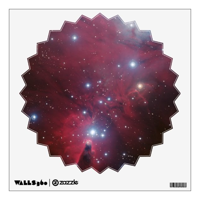 Christmas Tree Cluster and Cone Nebula, NGC 2264 Wall Sticker (Front)