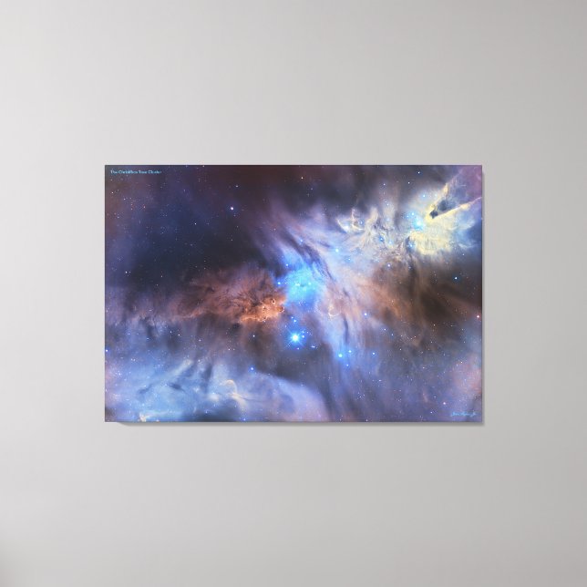 Christmas Tree Cluster - Distinguished Canvas Print (Front)