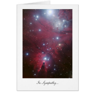 Christmas Tree Cluster - In Sympathy