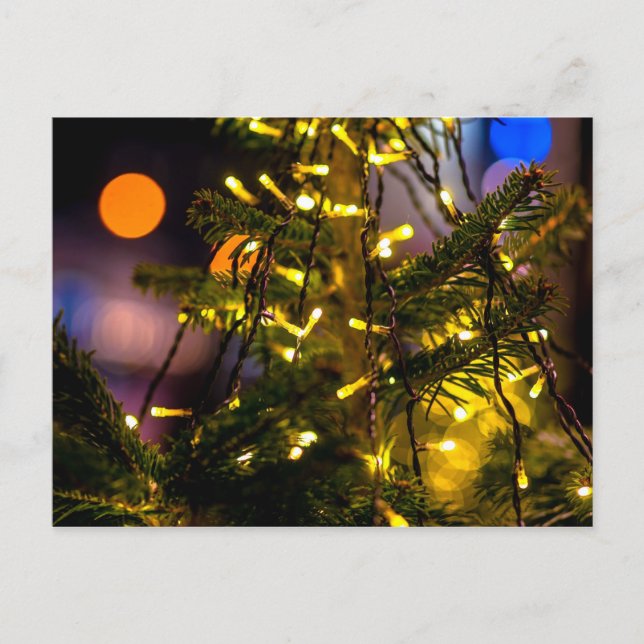 Christmas Tree, Decorative Lights Postcard (Front)