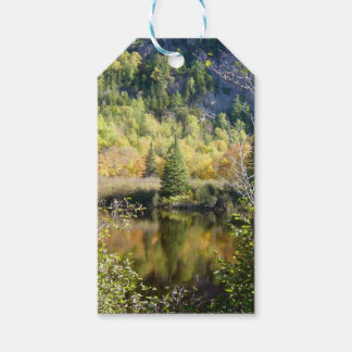 Christmas Tree gift tag