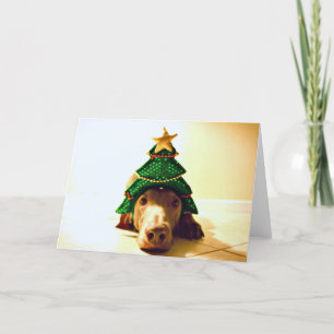 Christmas Tree Head Holiday Card