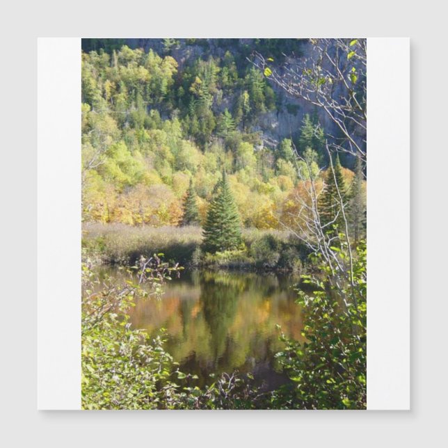 Christmas Tree holiday card, magnetic card (Front)