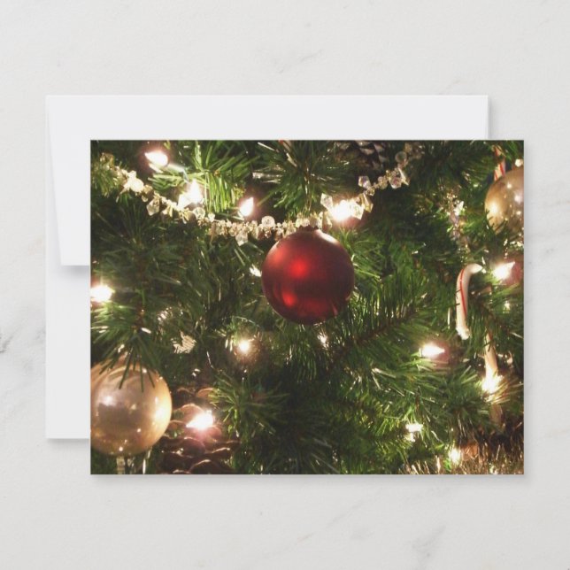 Christmas Tree I Holiday Pretty Green and Red Card (Front)