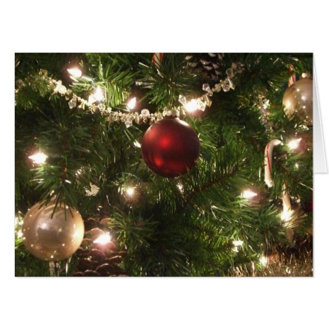 Christmas Tree I Holiday Pretty Green and Red Card (Front Horizontal)