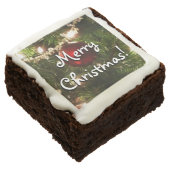 Christmas Tree I Holiday Pretty Green and Red Chocolate Brownie (Angled)